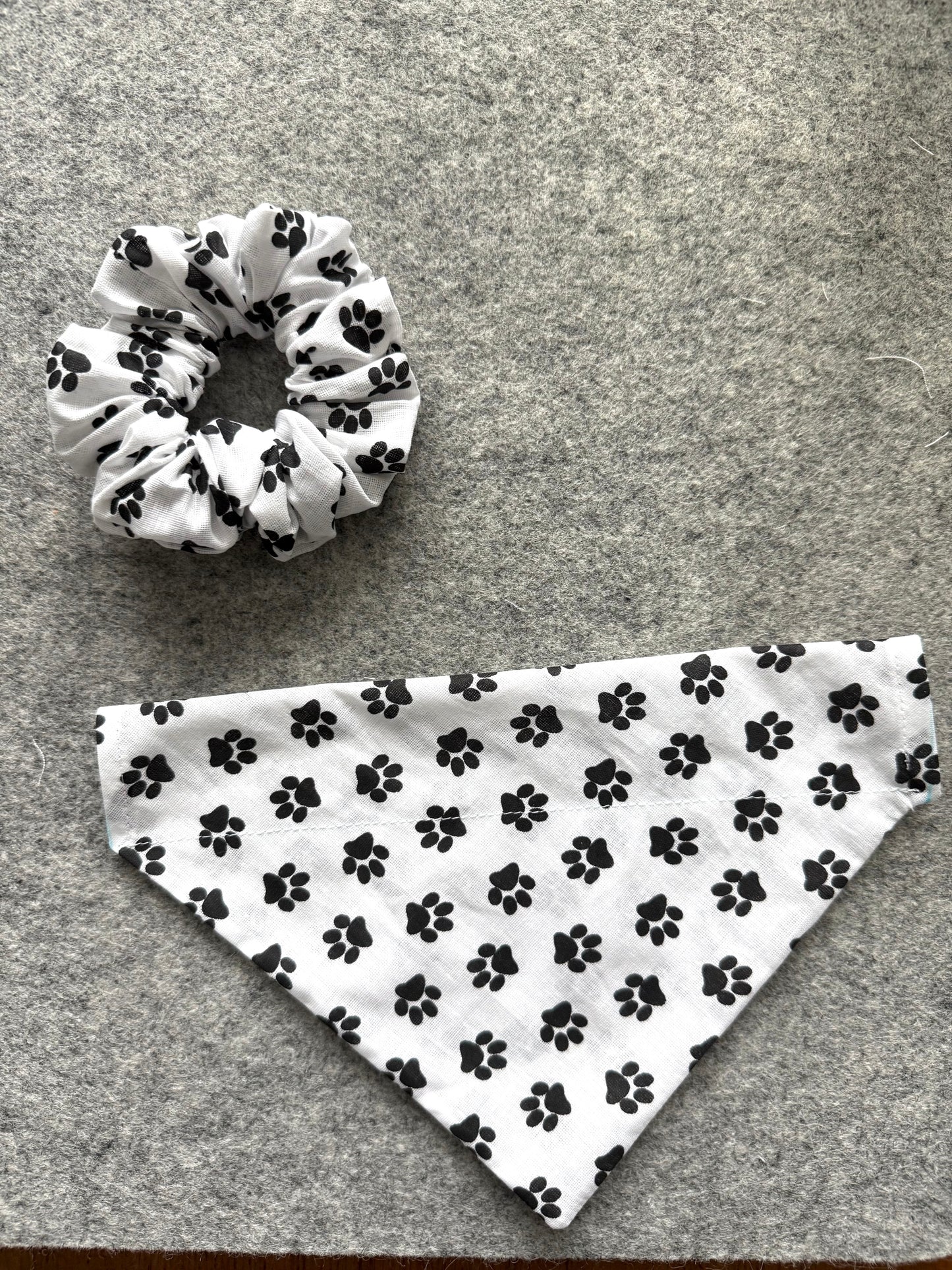 Scrunchie + Matching Dog Bandanna