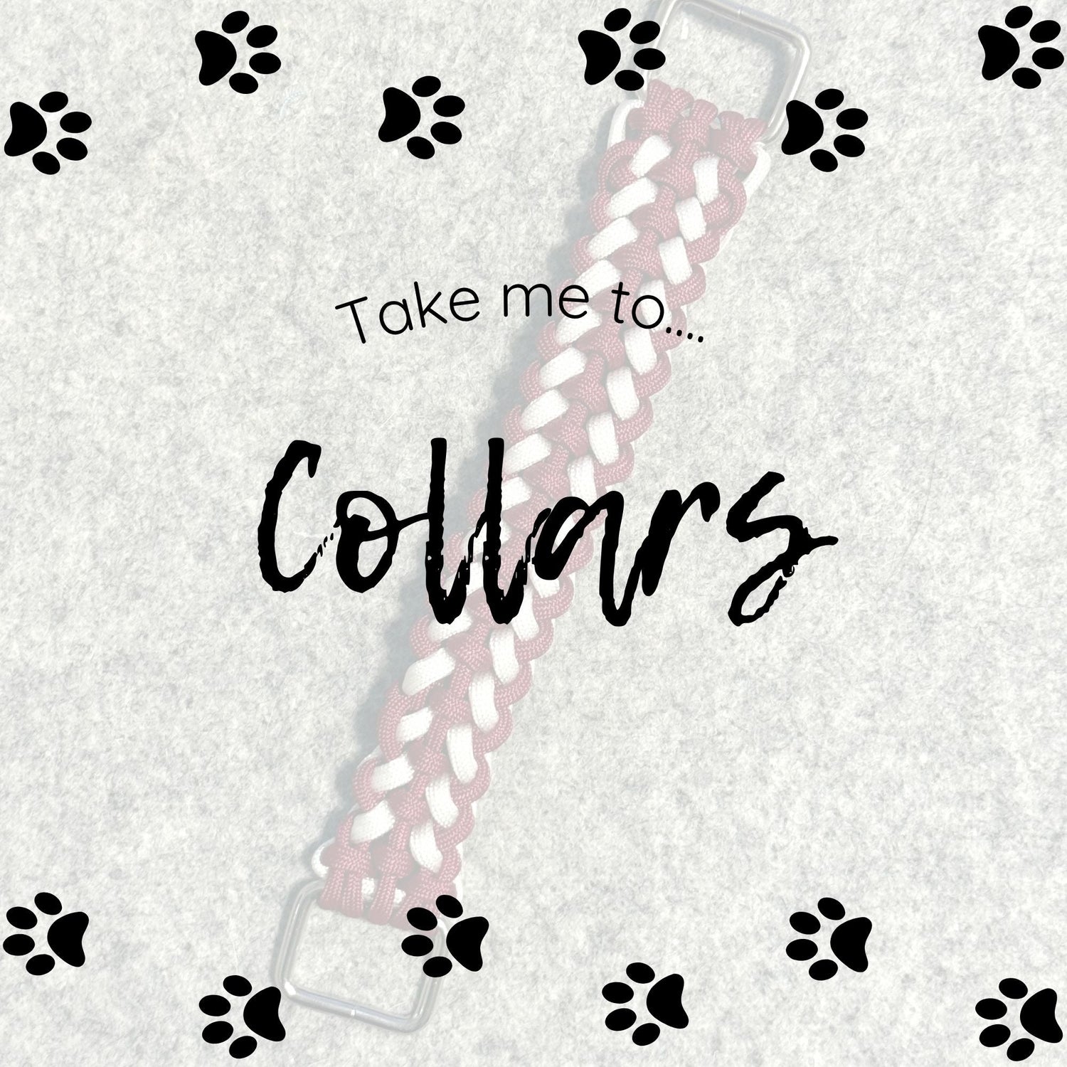 Dog Collars