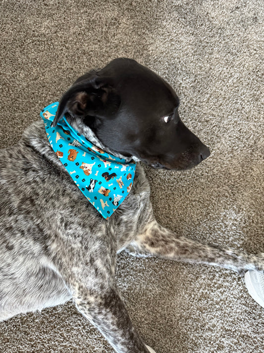 Over the Collar Dog Bandanna - XS-Small
