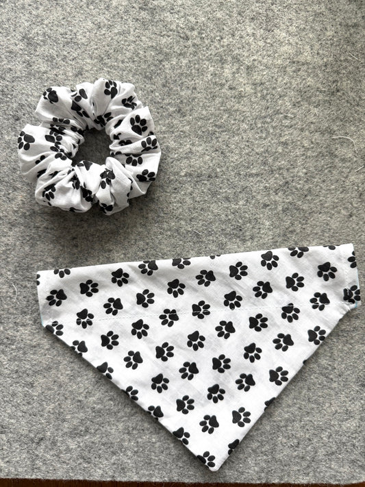Scrunchie + Matching Dog Bandanna